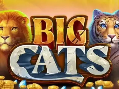 Spielcasino Bad Dürkheim screenshot